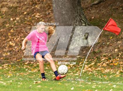 Thumbnail 3 in JV: Needham @ Wellesley photogallery.