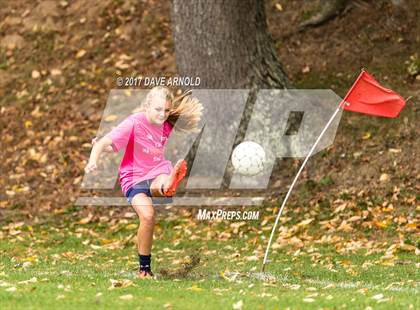 Thumbnail 1 in Needham @ Wellesley photogallery.