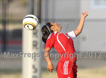 Thumbnail 2 in Cooper @ McNeil photogallery.