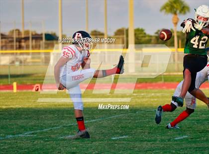 Thumbnail 3 in Palmetto @ Lakewood Ranch photogallery.