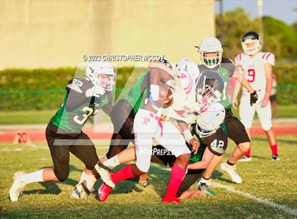 Thumbnail 1 in Palmetto @ Lakewood Ranch photogallery.