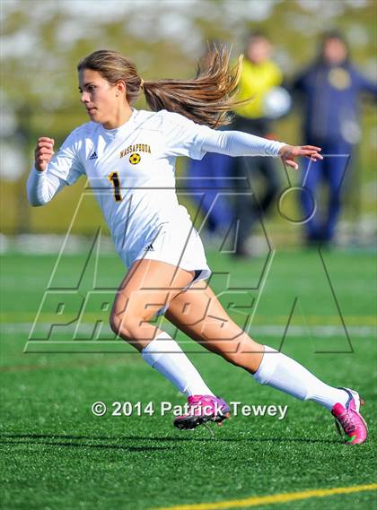 Thumbnail 1 in Massapequa vs. Clarence (NYSPHSAA Class AA Semifinal) photogallery.