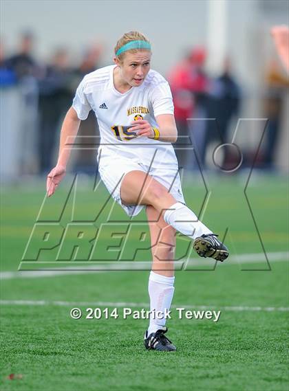 Thumbnail 2 in Massapequa vs. Clarence (NYSPHSAA Class AA Semifinal) photogallery.