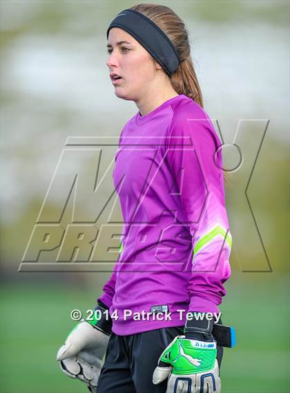 Thumbnail 2 in Massapequa vs. Clarence (NYSPHSAA Class AA Semifinal) photogallery.