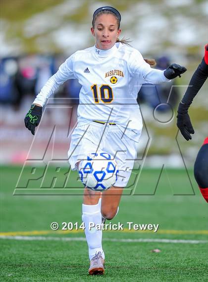 Thumbnail 1 in Massapequa vs. Clarence (NYSPHSAA Class AA Semifinal) photogallery.