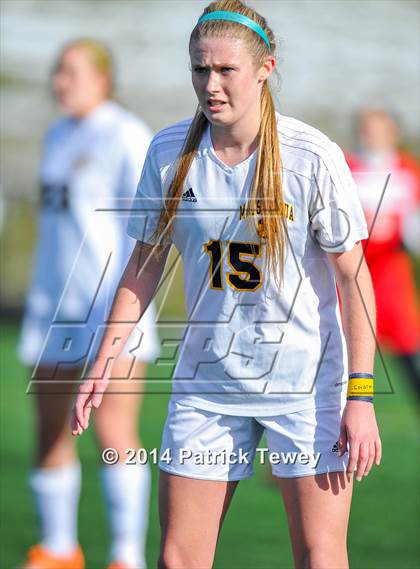 Thumbnail 1 in Massapequa vs. Clarence (NYSPHSAA Class AA Semifinal) photogallery.