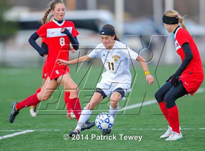 Thumbnail 2 in Massapequa vs. Clarence (NYSPHSAA Class AA Semifinal) photogallery.