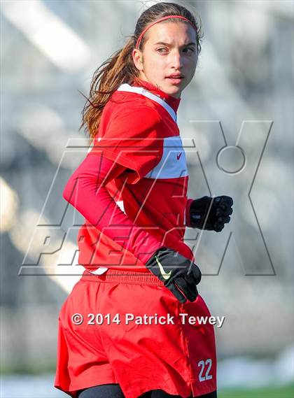 Thumbnail 1 in Massapequa vs. Clarence (NYSPHSAA Class AA Semifinal) photogallery.