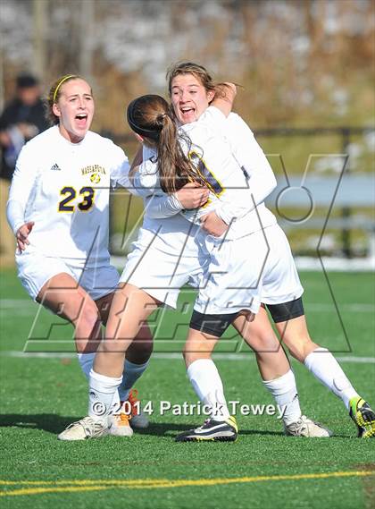 Thumbnail 1 in Massapequa vs. Clarence (NYSPHSAA Class AA Semifinal) photogallery.
