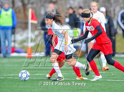 Thumbnail 1 in Massapequa vs. Clarence (NYSPHSAA Class AA Semifinal) photogallery.