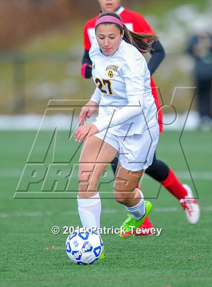 Thumbnail 3 in Massapequa vs. Clarence (NYSPHSAA Class AA Semifinal) photogallery.