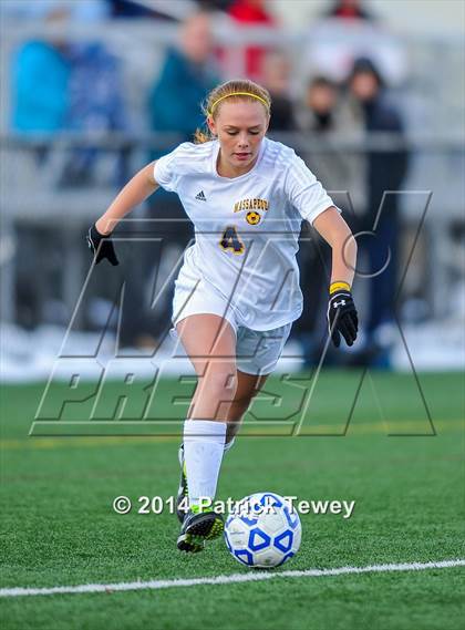 Thumbnail 1 in Massapequa vs. Clarence (NYSPHSAA Class AA Semifinal) photogallery.