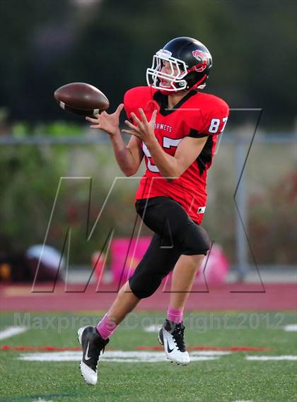 Thumbnail 2 in Sheehan @ Branford photogallery.