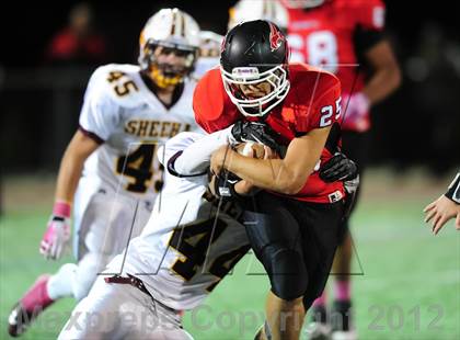 Thumbnail 2 in Sheehan @ Branford photogallery.