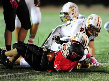 Thumbnail 3 in Sheehan @ Branford photogallery.