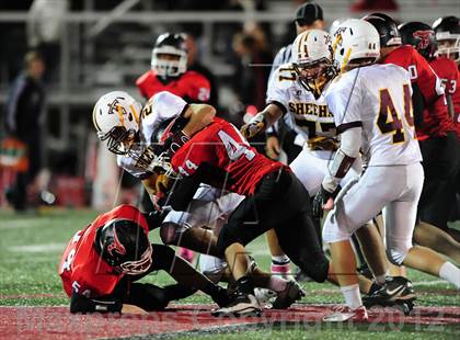 Thumbnail 3 in Sheehan @ Branford photogallery.