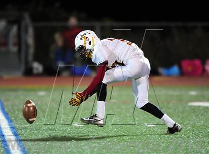 Thumbnail 2 in Sheehan @ Branford photogallery.