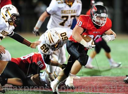 Thumbnail 1 in Sheehan @ Branford photogallery.
