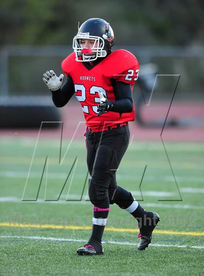 Thumbnail 1 in Sheehan @ Branford photogallery.