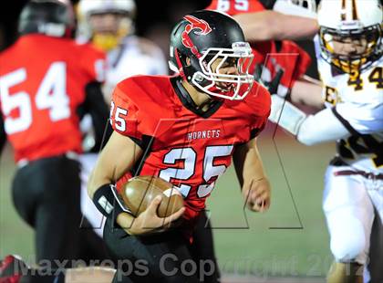 Thumbnail 3 in Sheehan @ Branford photogallery.