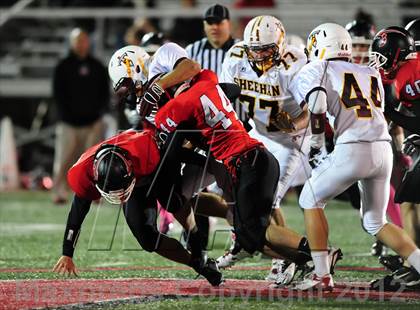 Thumbnail 2 in Sheehan @ Branford photogallery.