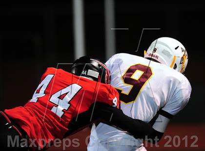 Thumbnail 1 in Sheehan @ Branford photogallery.