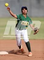 Photo from the gallery "Canyon del Oro @ Mountain View"