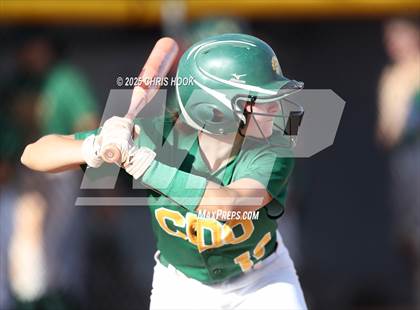 Thumbnail 3 in Canyon del Oro @ Mountain View photogallery.