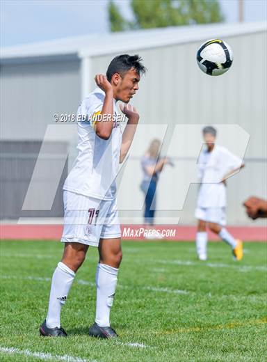 null - Photo 31