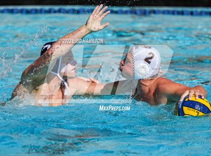 Thumbnail 3 in Crespi @ Loyola photogallery.