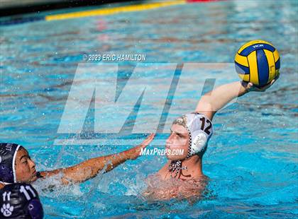 Thumbnail 1 in Crespi @ Loyola photogallery.