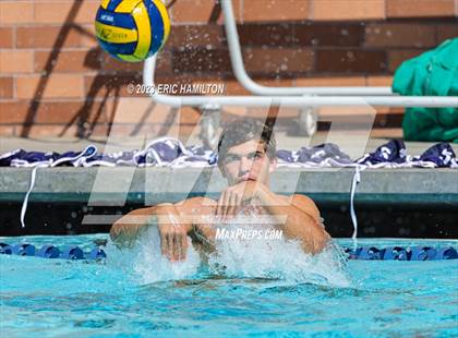 Thumbnail 1 in Crespi @ Loyola photogallery.