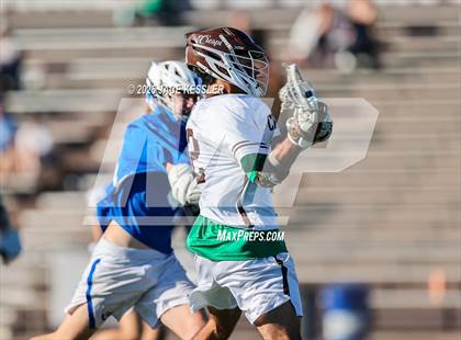Thumbnail 3 in Cate @ Crespi photogallery.