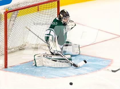 Thumbnail 1 in Marshfield vs. Waltham (MIAA Division1 Final) photogallery.