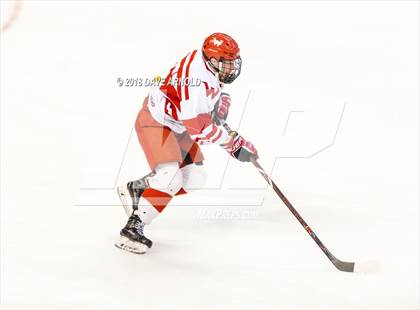 Thumbnail 1 in Marshfield vs. Waltham (MIAA Division1 Final) photogallery.