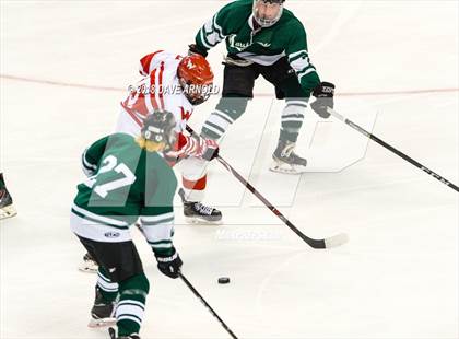 Thumbnail 1 in Marshfield vs. Waltham (MIAA Division1 Final) photogallery.