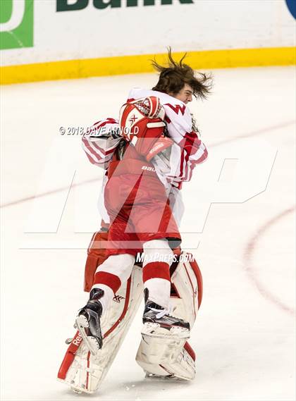 Thumbnail 1 in Marshfield vs. Waltham (MIAA Division1 Final) photogallery.