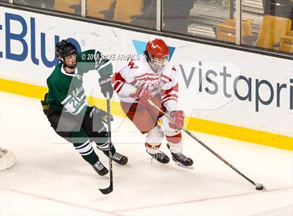 Thumbnail 3 in Marshfield vs. Waltham (MIAA Division1 Final) photogallery.