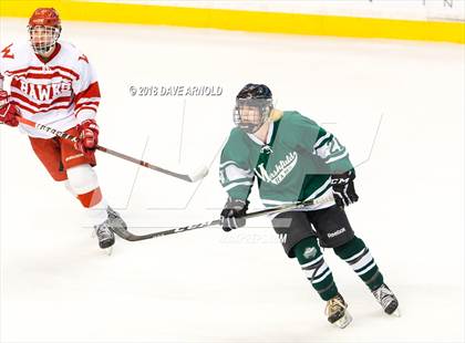 Thumbnail 2 in Marshfield vs. Waltham (MIAA Division1 Final) photogallery.