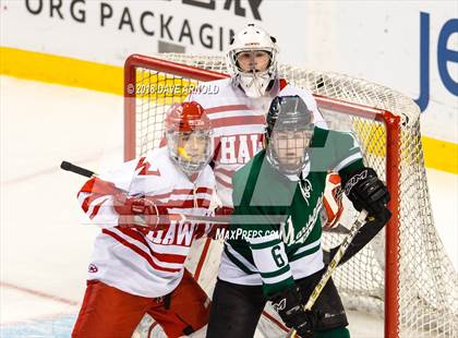 Thumbnail 1 in Marshfield vs. Waltham (MIAA Division1 Final) photogallery.