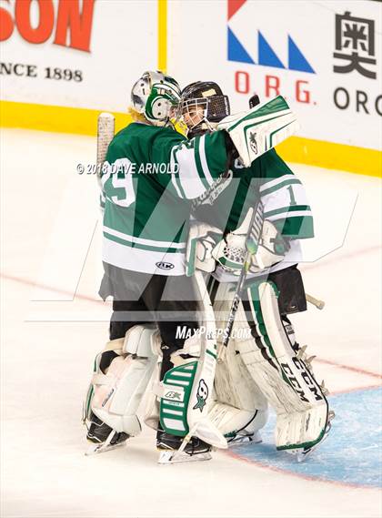 Thumbnail 1 in Marshfield vs. Waltham (MIAA Division1 Final) photogallery.