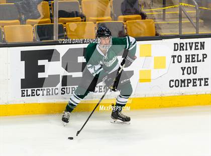 Thumbnail 1 in Marshfield vs. Waltham (MIAA Division1 Final) photogallery.