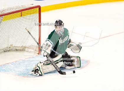 Thumbnail 1 in Marshfield vs. Waltham (MIAA Division1 Final) photogallery.