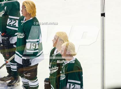 Thumbnail 3 in Marshfield vs. Waltham (MIAA Division1 Final) photogallery.