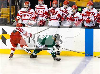 Thumbnail 2 in Marshfield vs. Waltham (MIAA Division1 Final) photogallery.