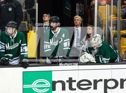 Thumbnail 3 in Marshfield vs. Waltham (MIAA Division1 Final) photogallery.