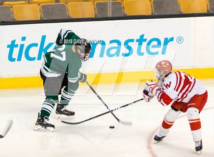 Thumbnail 1 in Marshfield vs. Waltham (MIAA Division1 Final) photogallery.