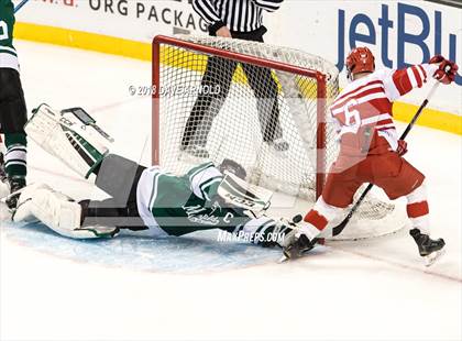 Thumbnail 1 in Marshfield vs. Waltham (MIAA Division1 Final) photogallery.