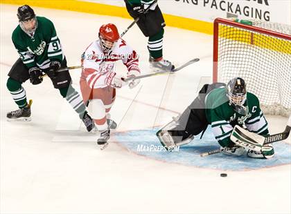 Thumbnail 1 in Marshfield vs. Waltham (MIAA Division1 Final) photogallery.