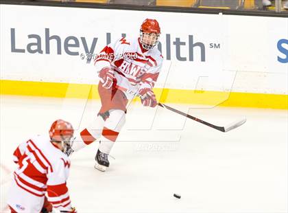 Thumbnail 1 in Marshfield vs. Waltham (MIAA Division1 Final) photogallery.
